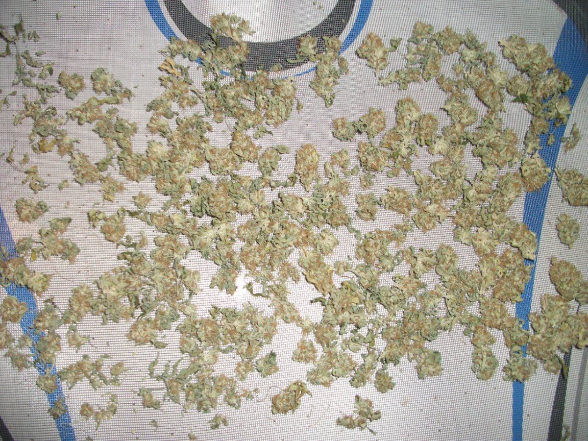 DSCF5298