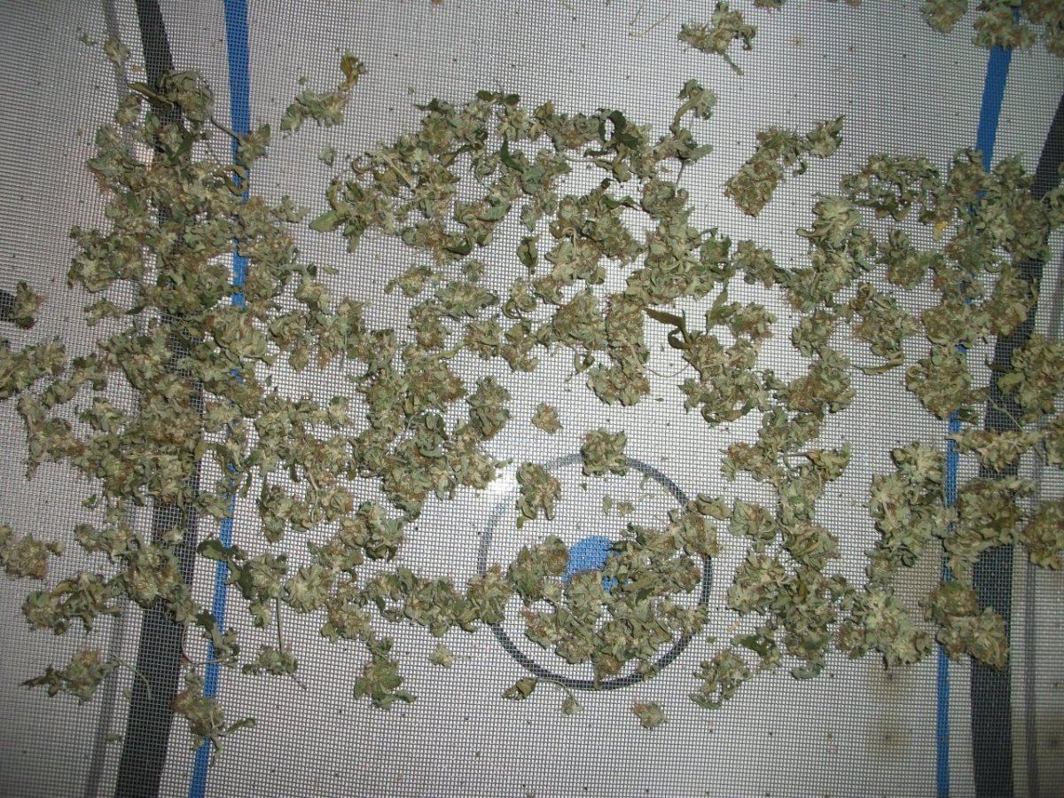 DSCF5299