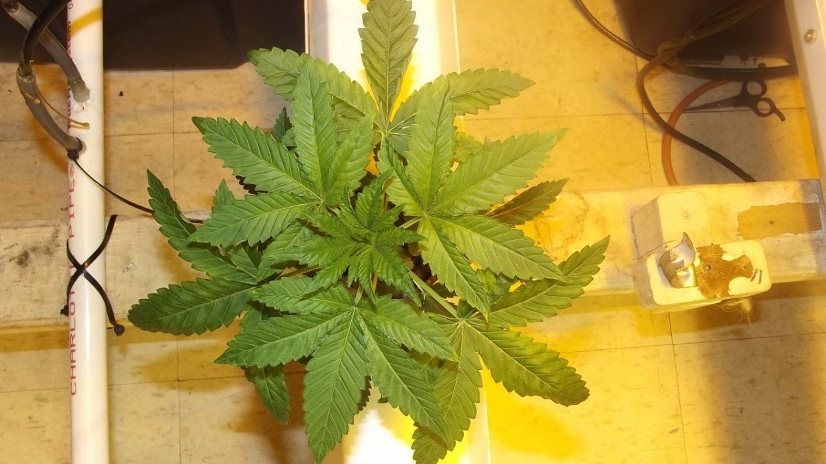 DSCF7097