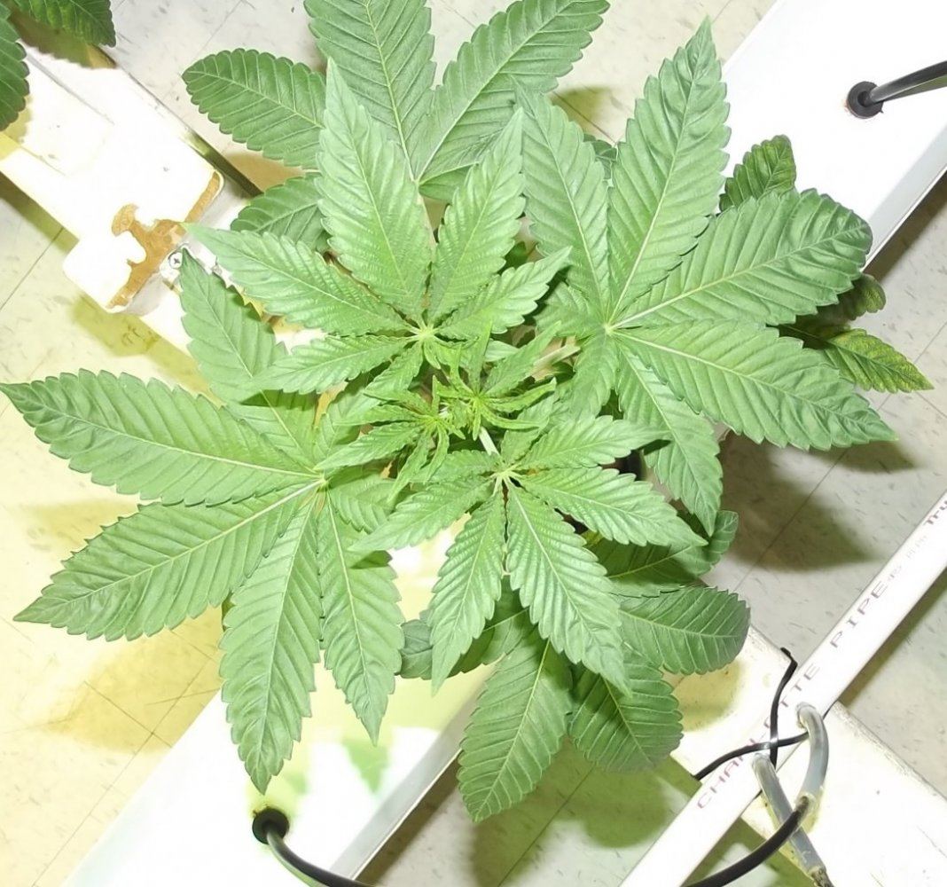 DSCF7160