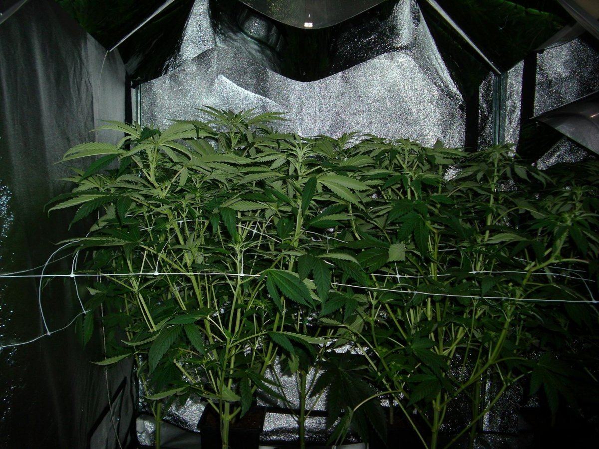 DSCI0006 2