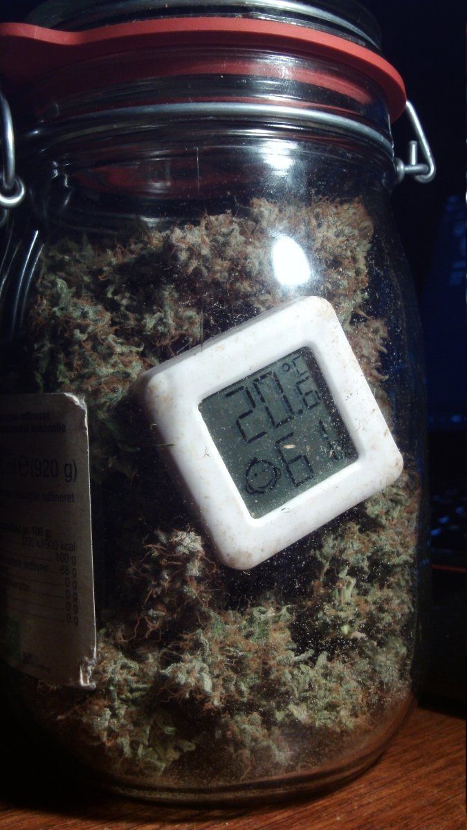 DSCI0733