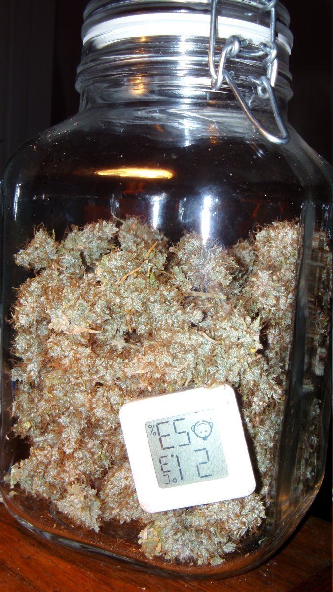 DSCI0767