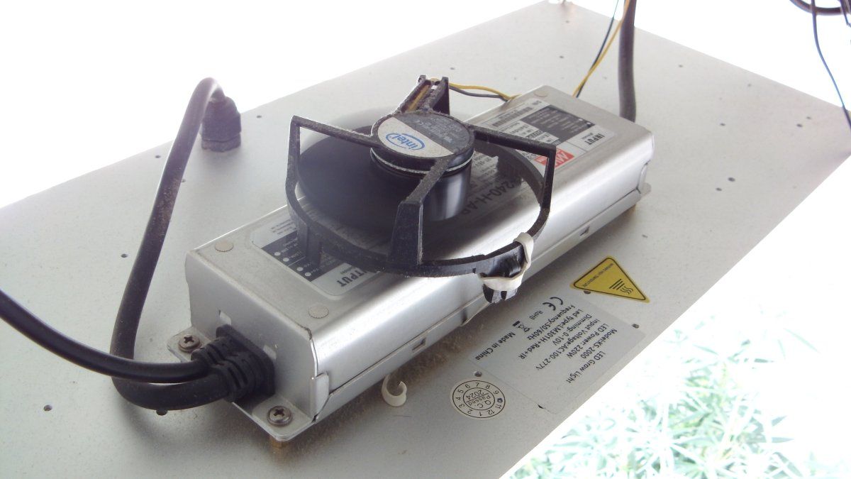 DSCI0923