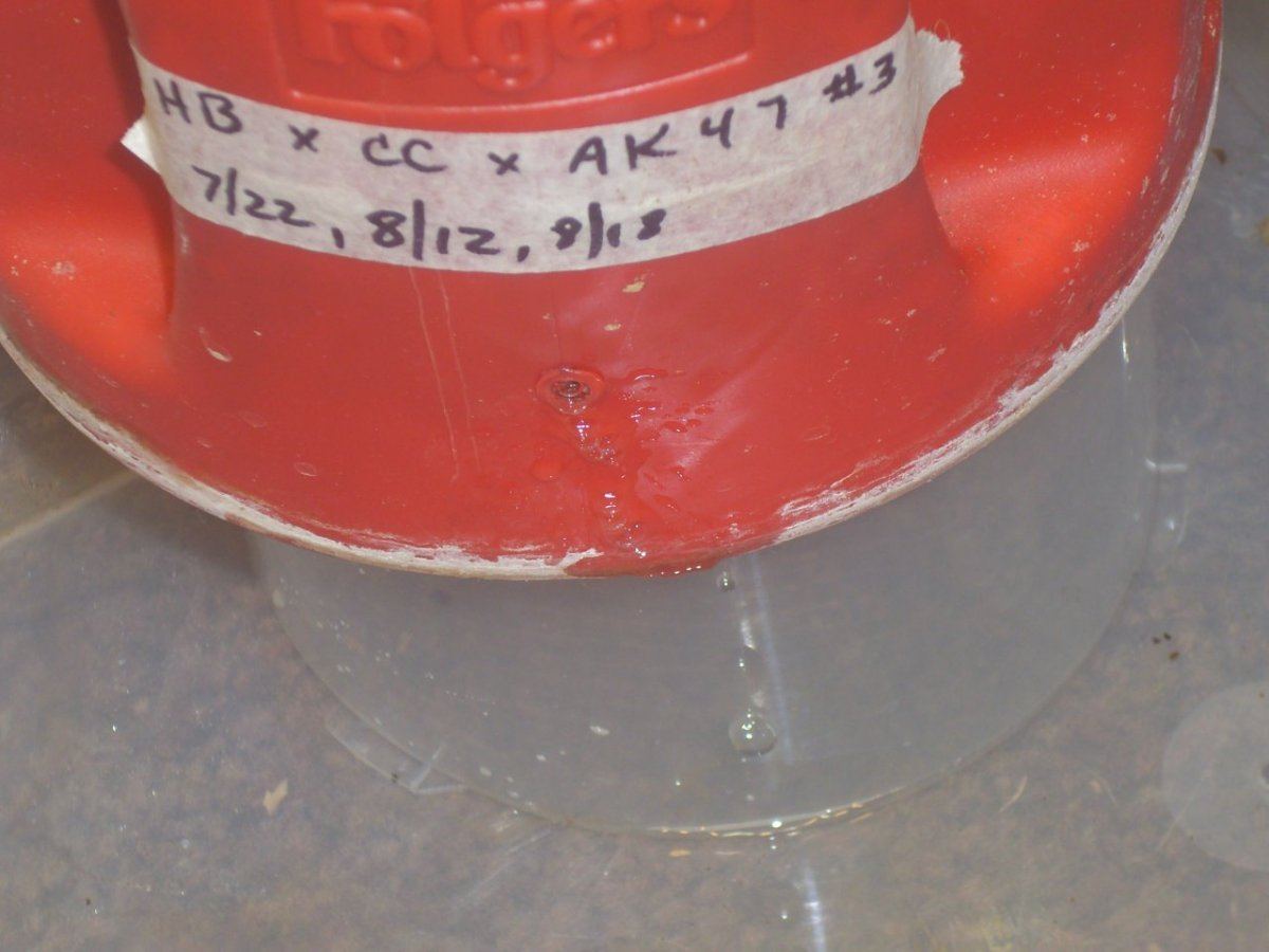 DSCI4476