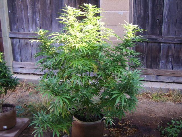 DSCI7122