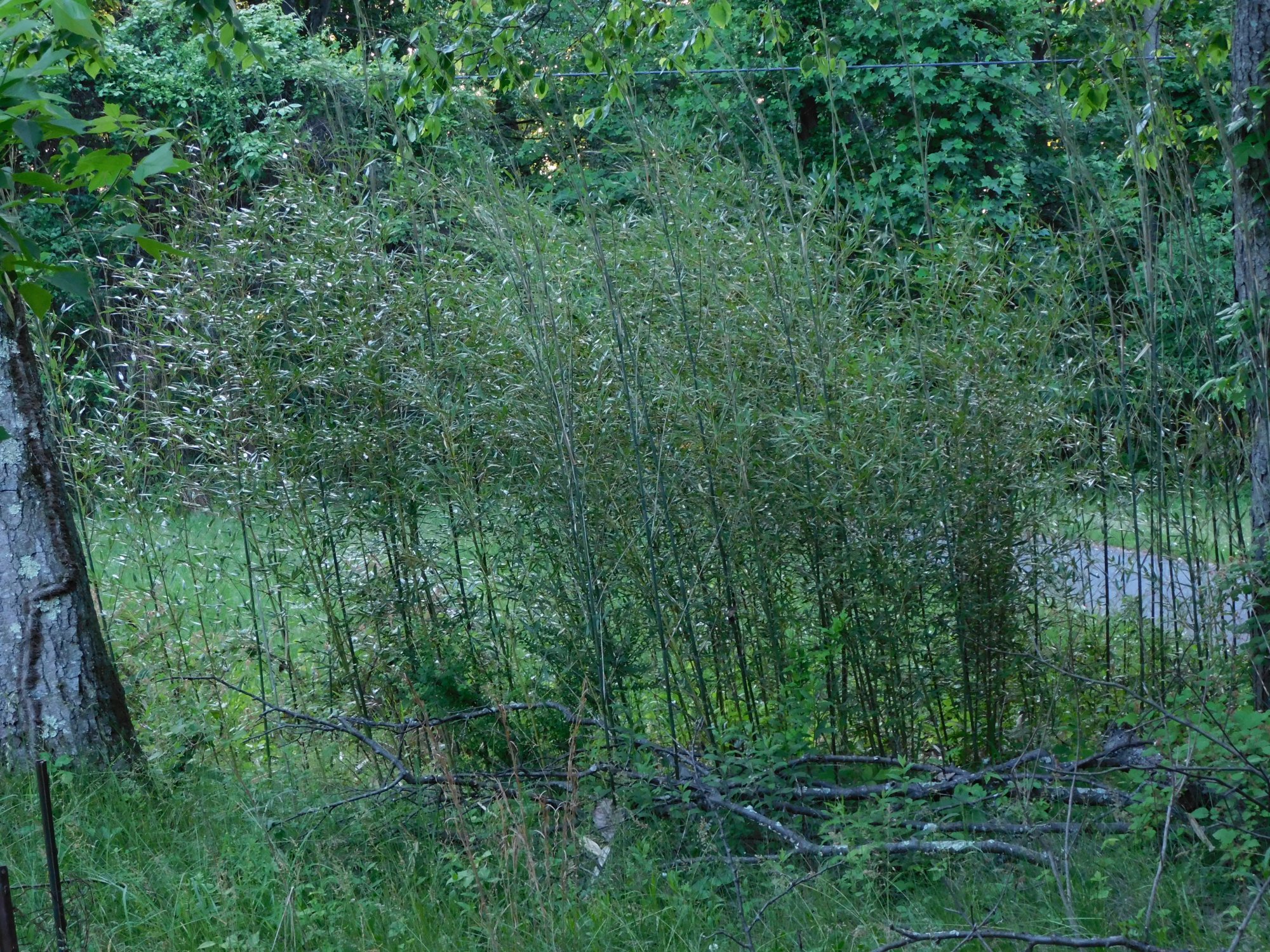 DSCN0062