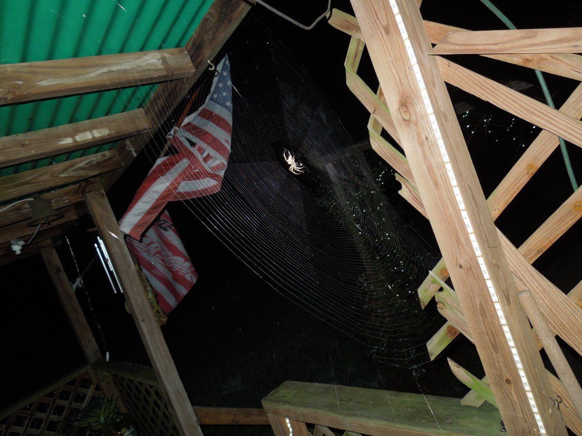DSCN0071