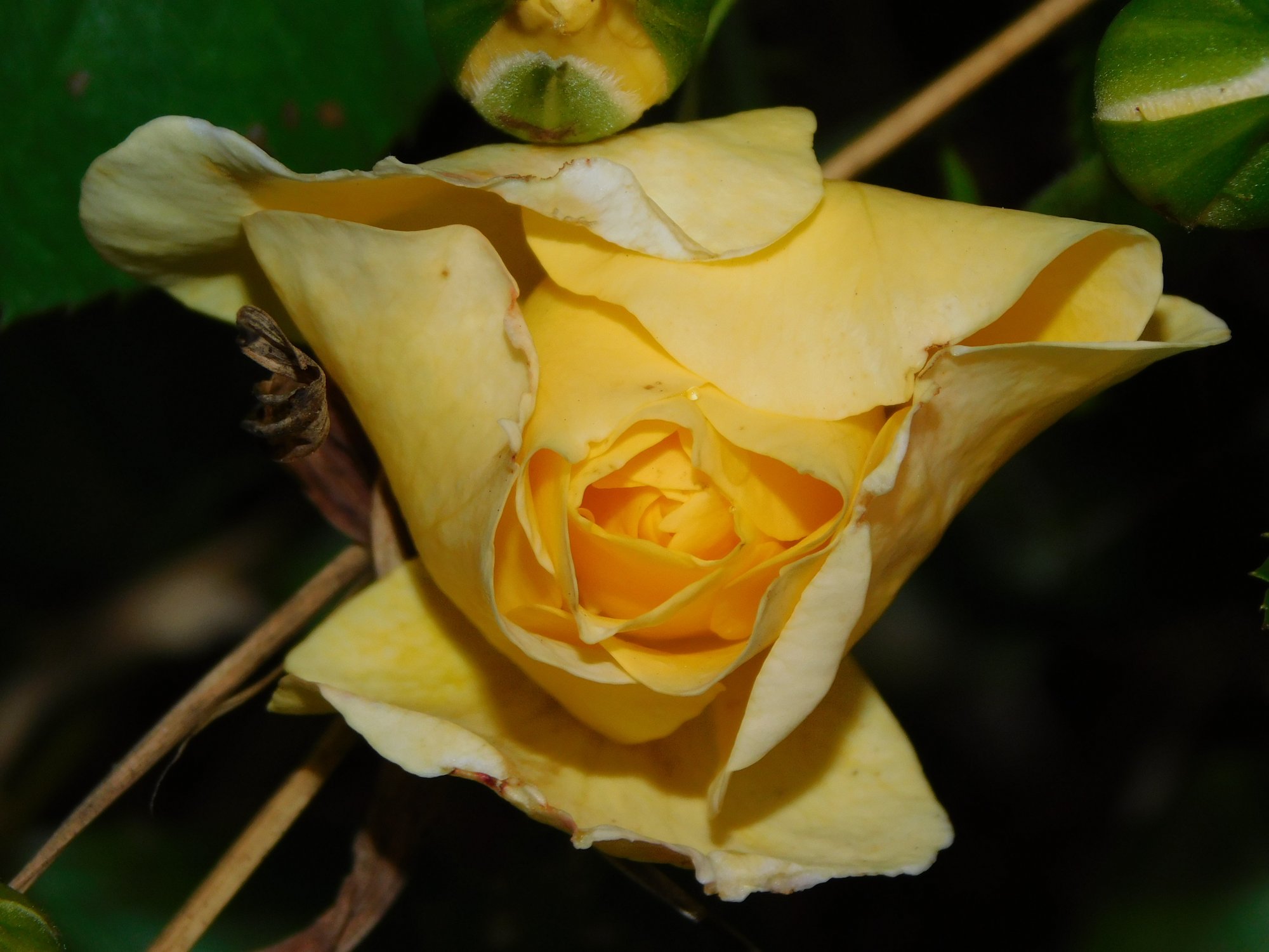 DSCN0087