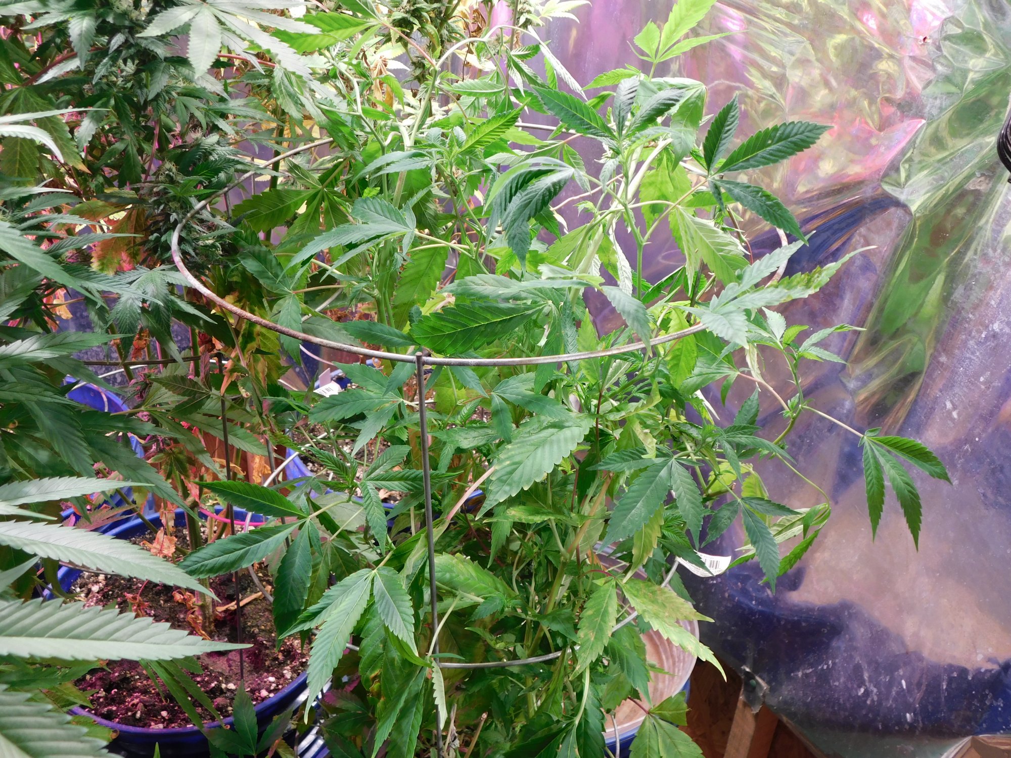DSCN0168