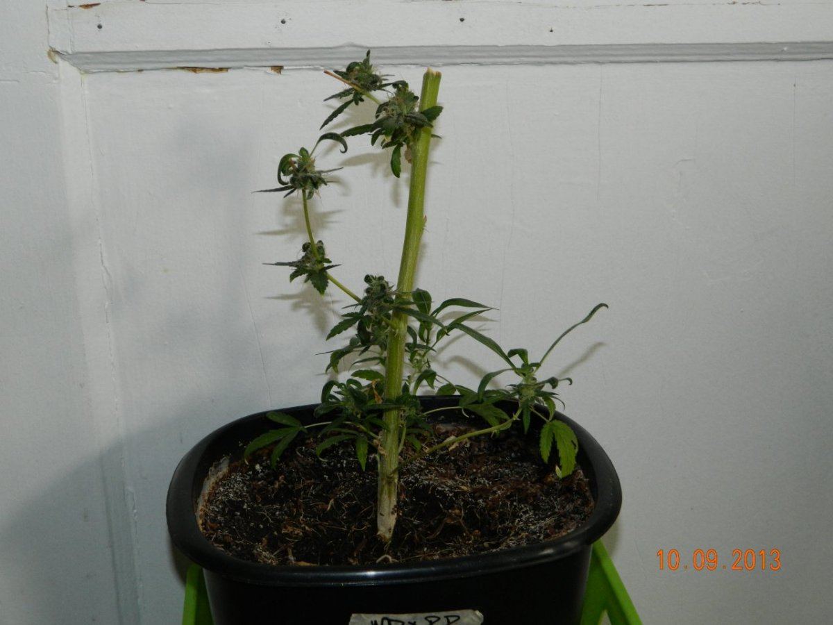 DSCN0173