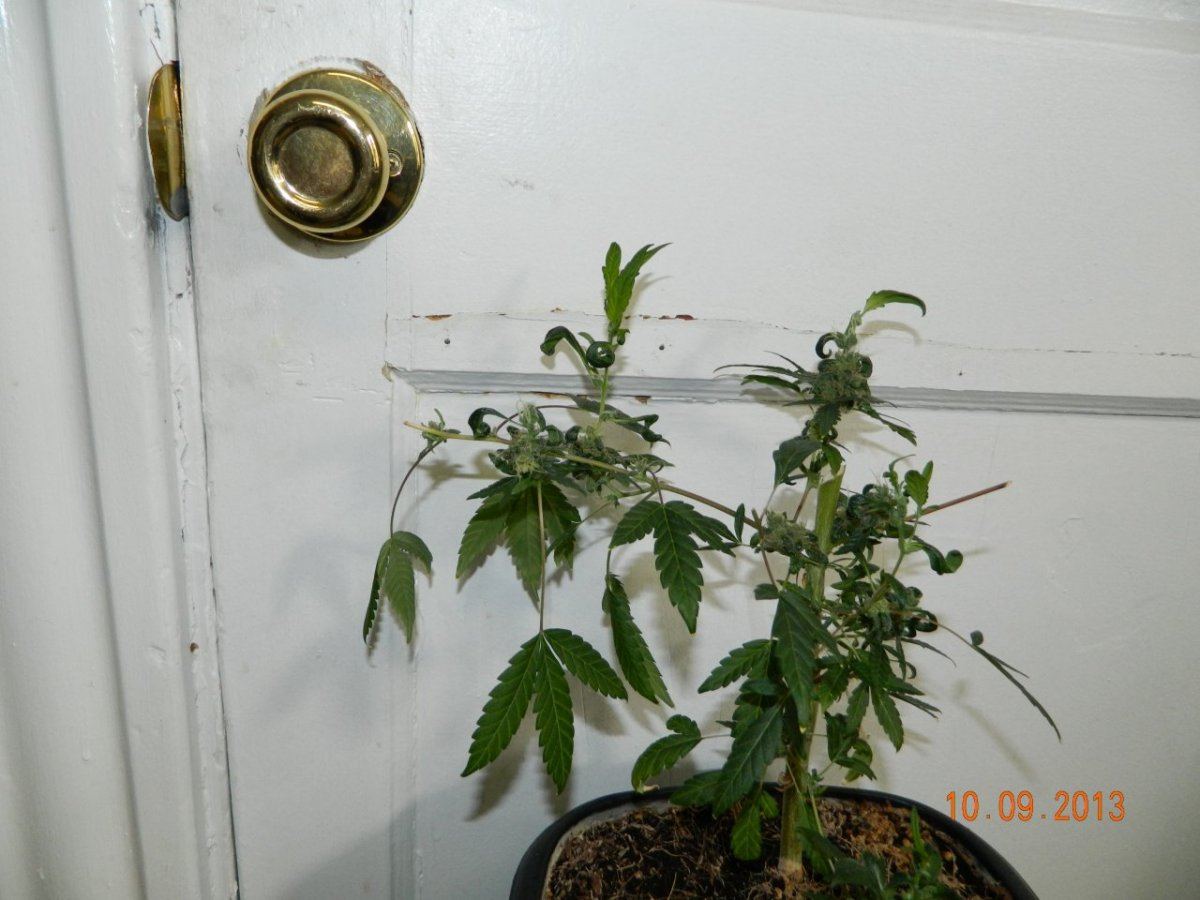 DSCN0181