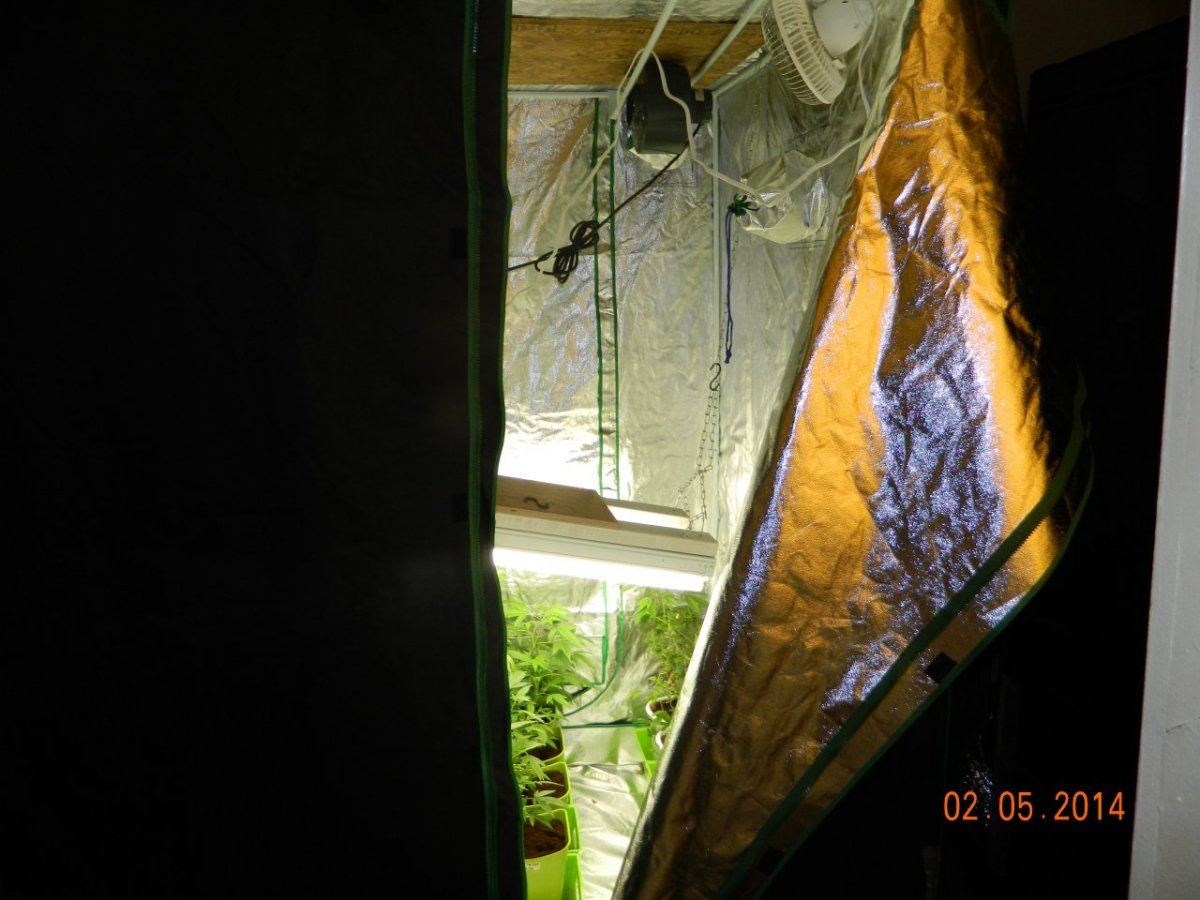 DSCN0338