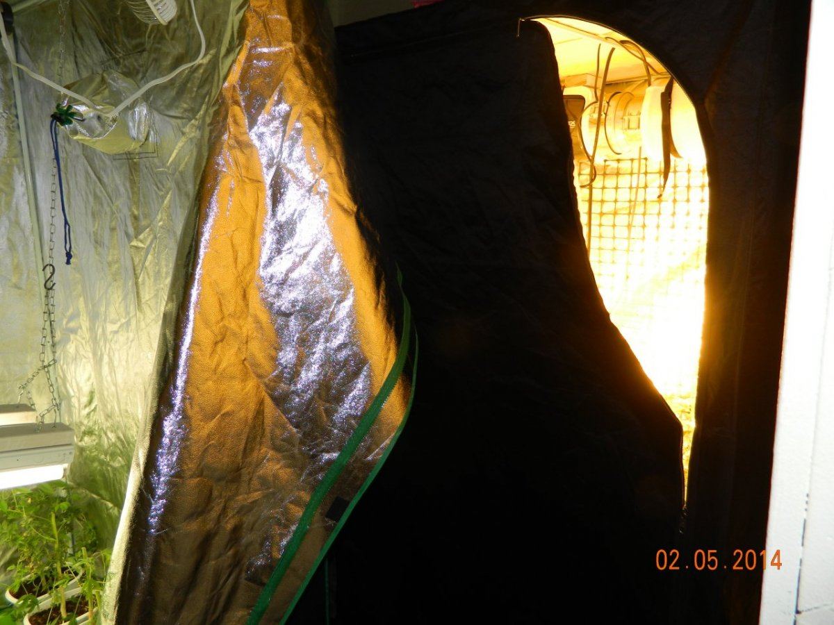 DSCN0339