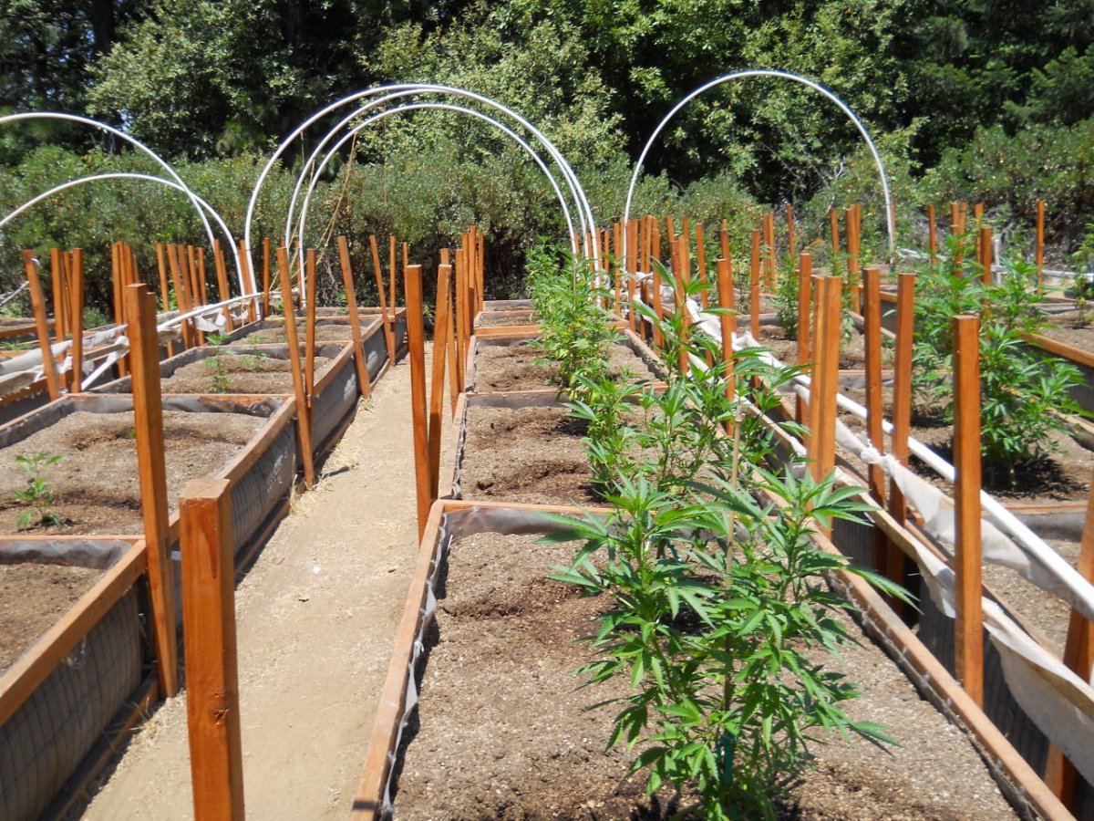 DSCN0482
