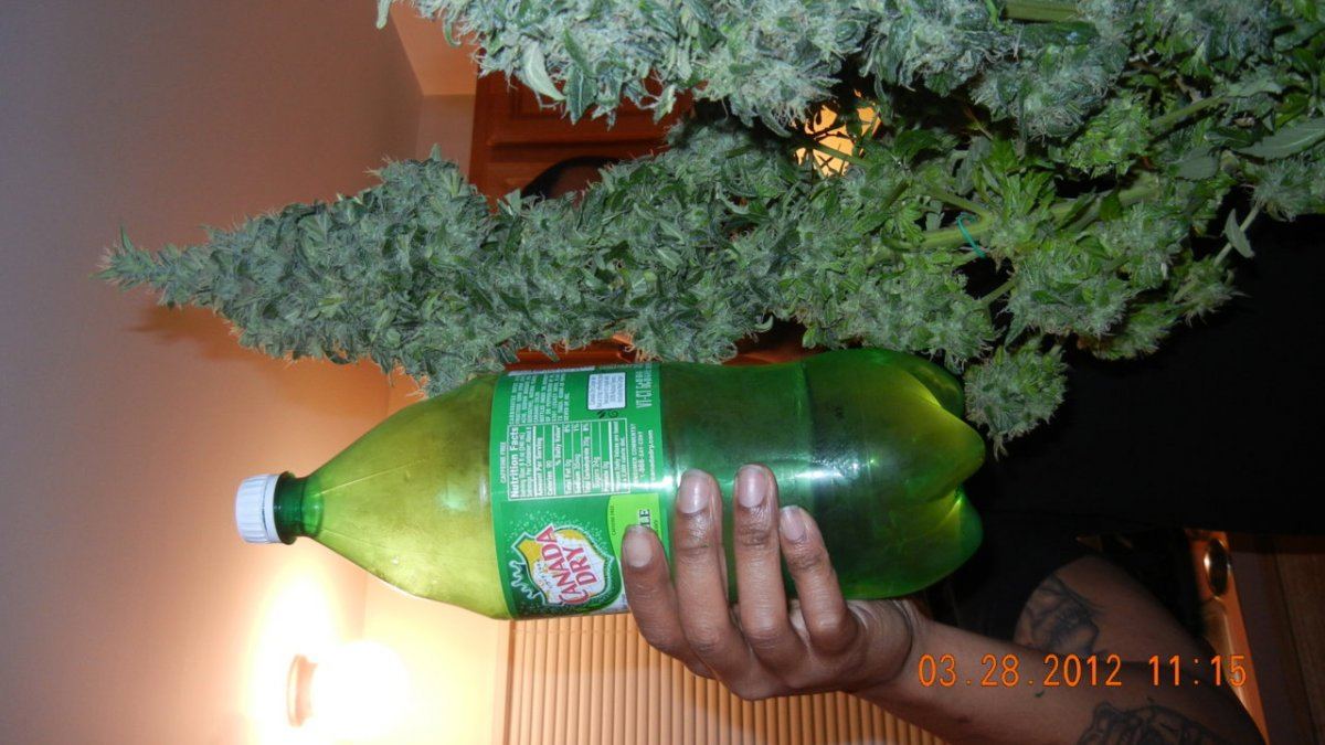 DSCN0507