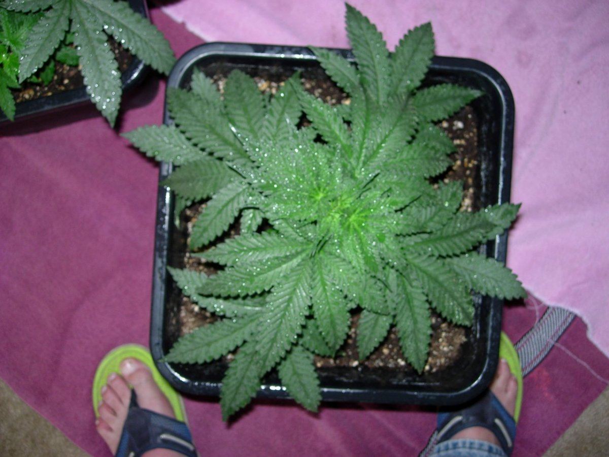 DSCN0572