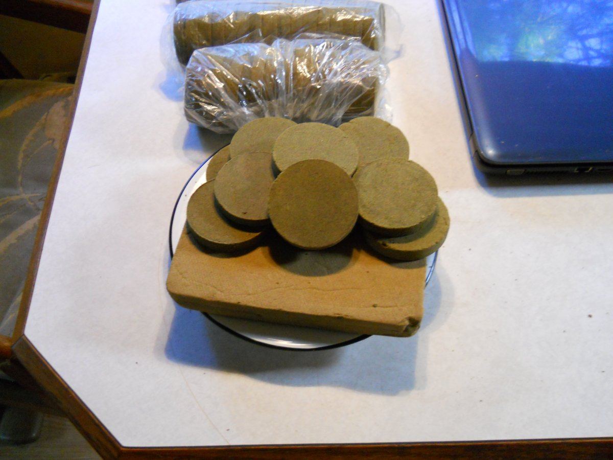 DSCN0595