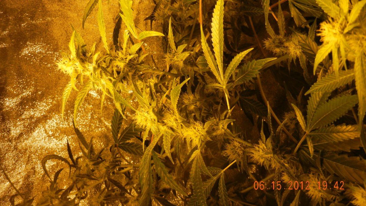 DSCN0602