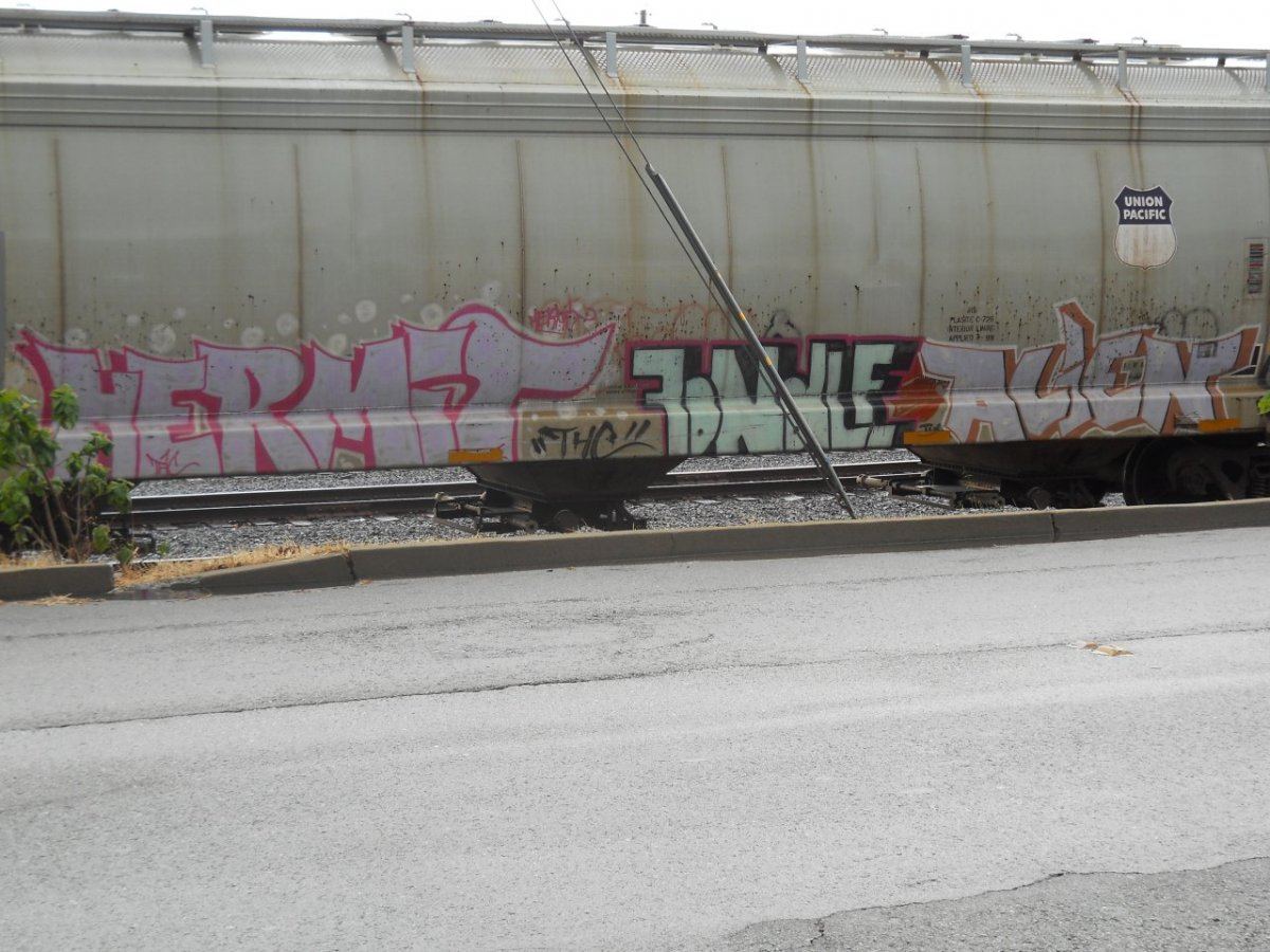 DSCN0617