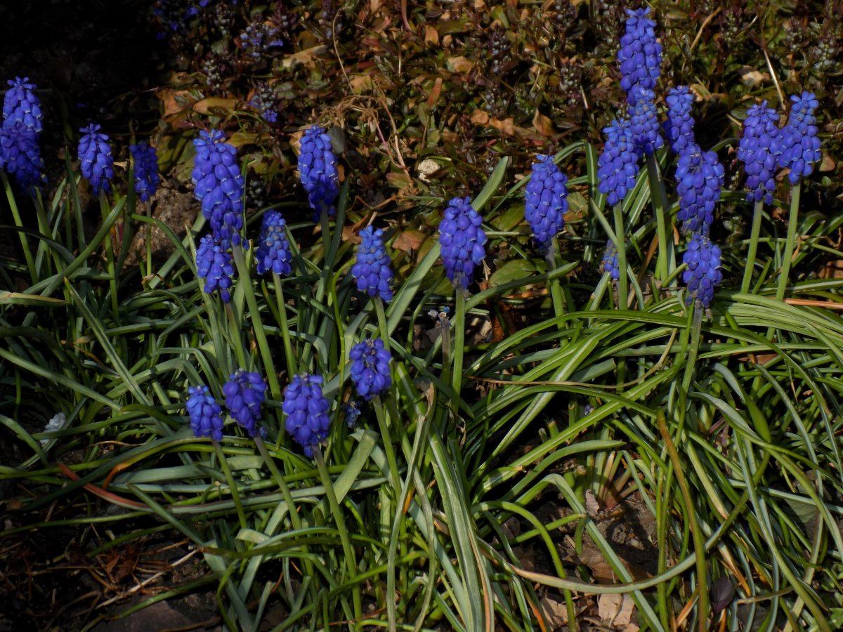 DSCN0638