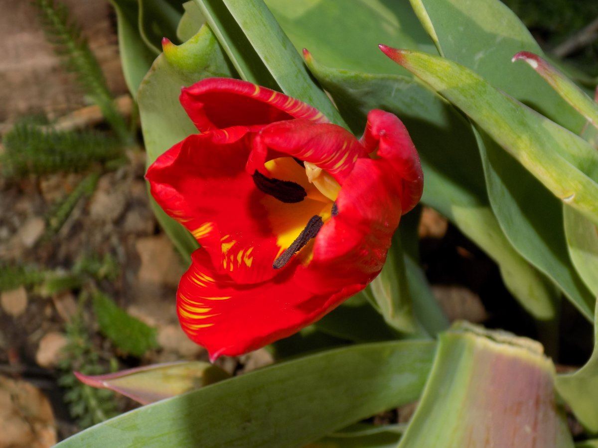 DSCN0643