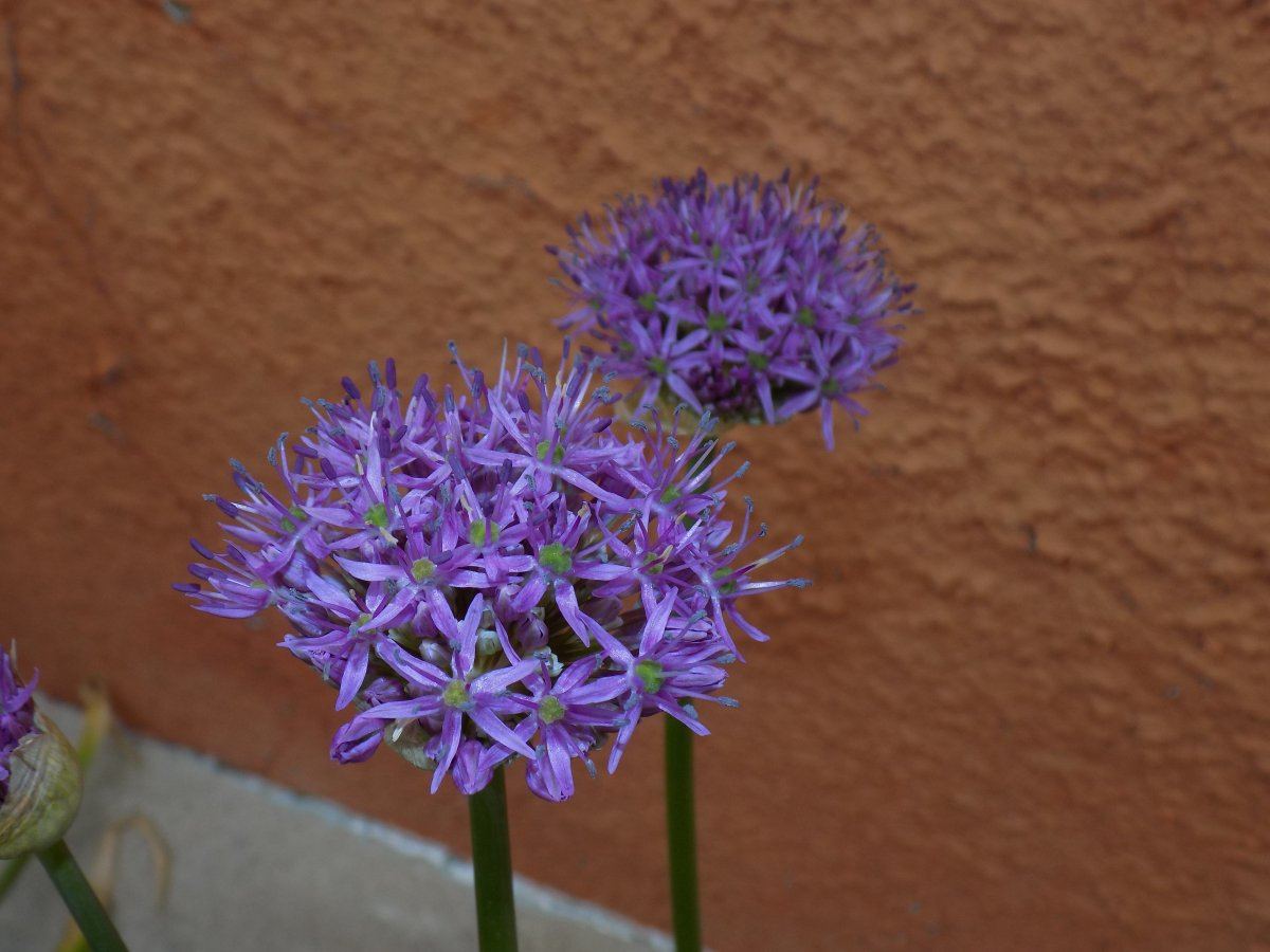 DSCN0708