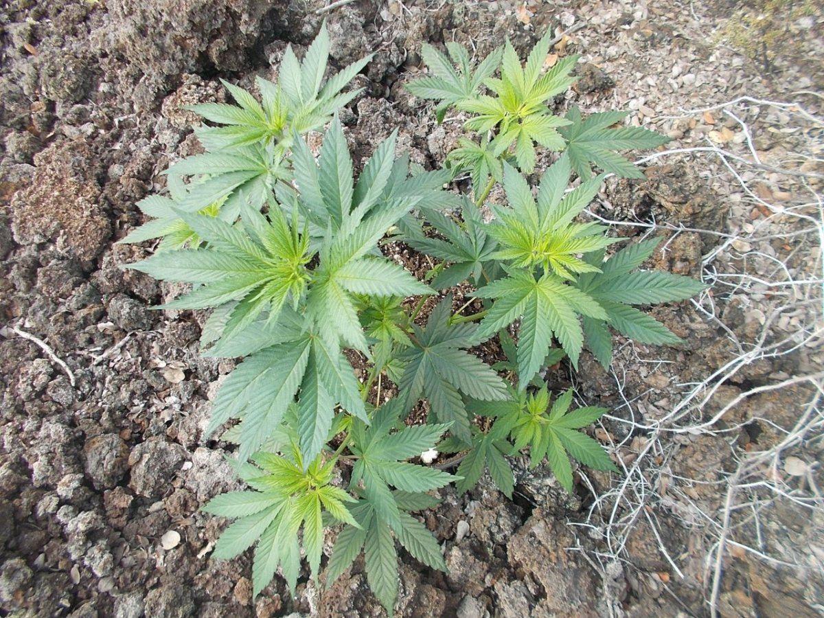 DSCN1108