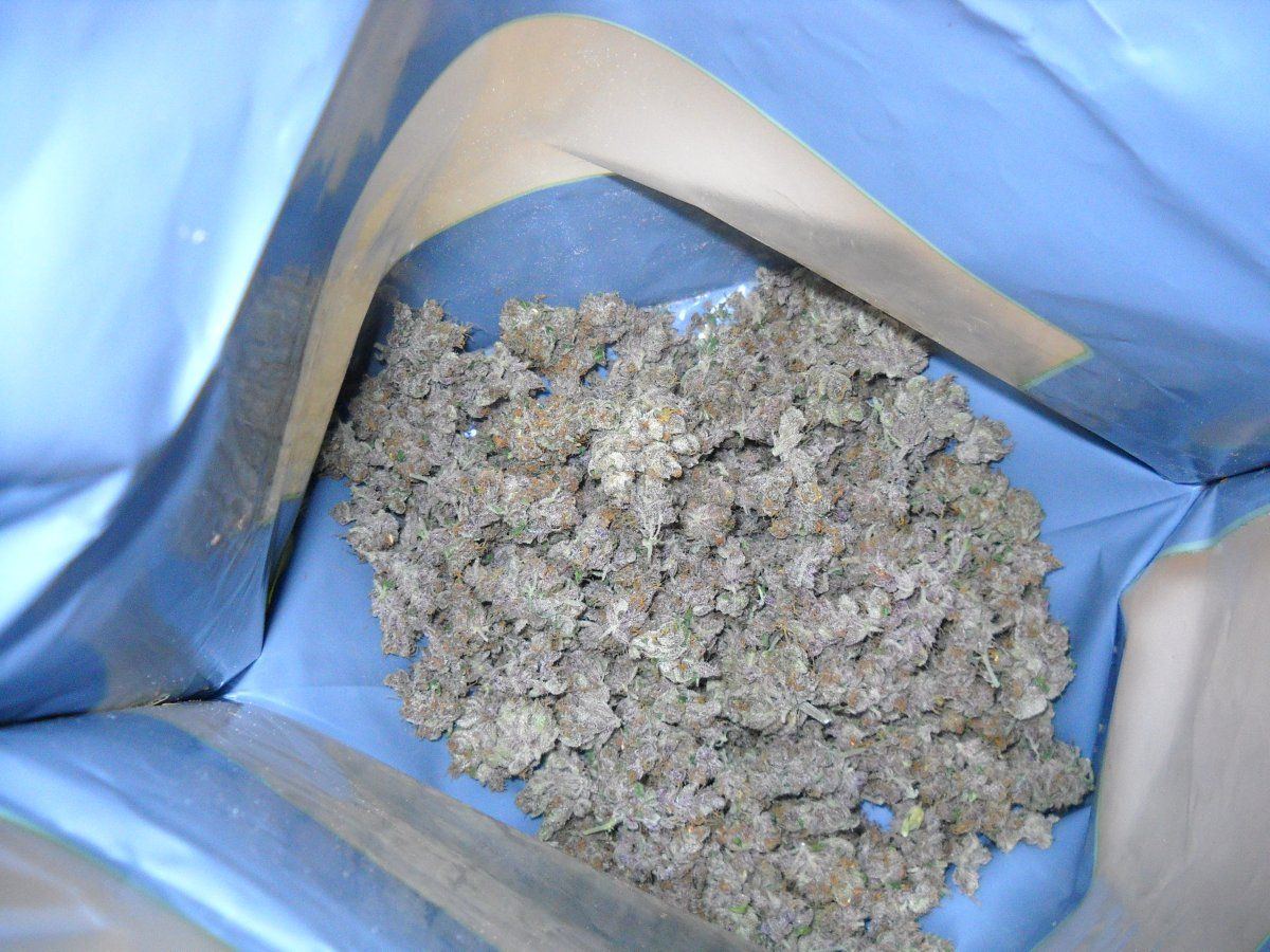 DSCN1137