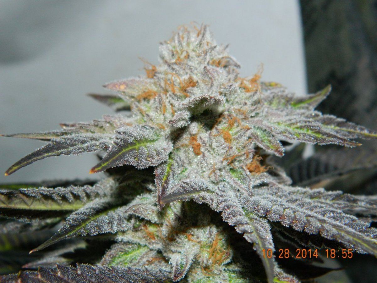 DSCN1140