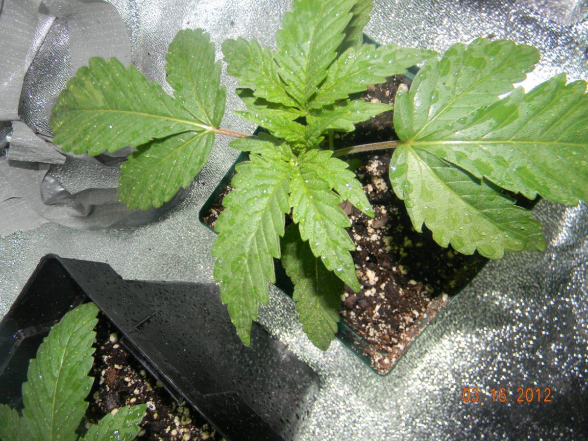DSCN1152