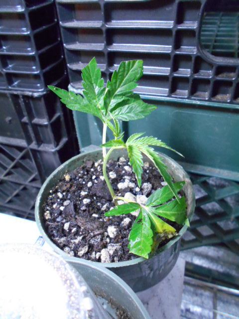 DSCN1216