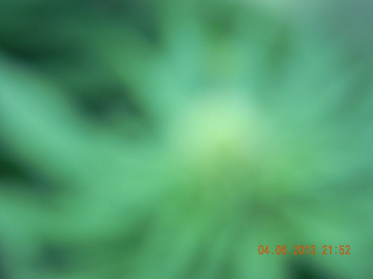 DSCN1395