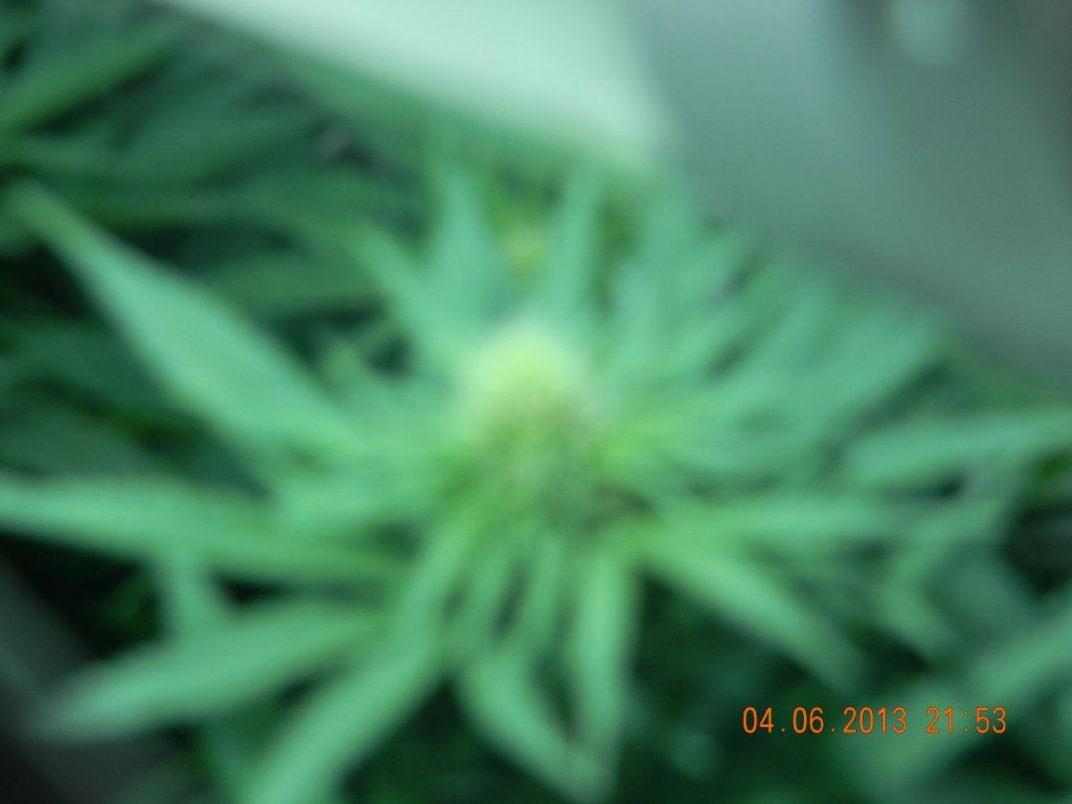 DSCN1396