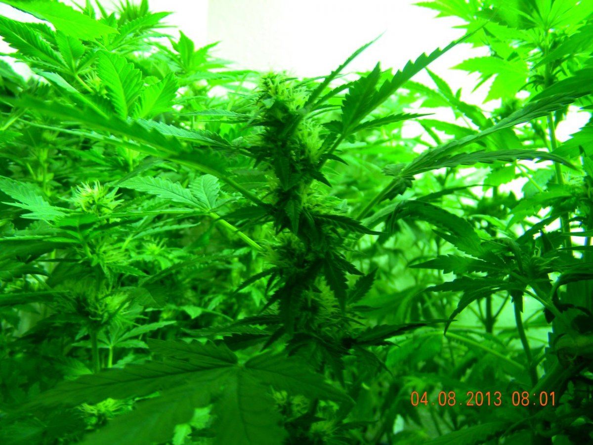 DSCN1400