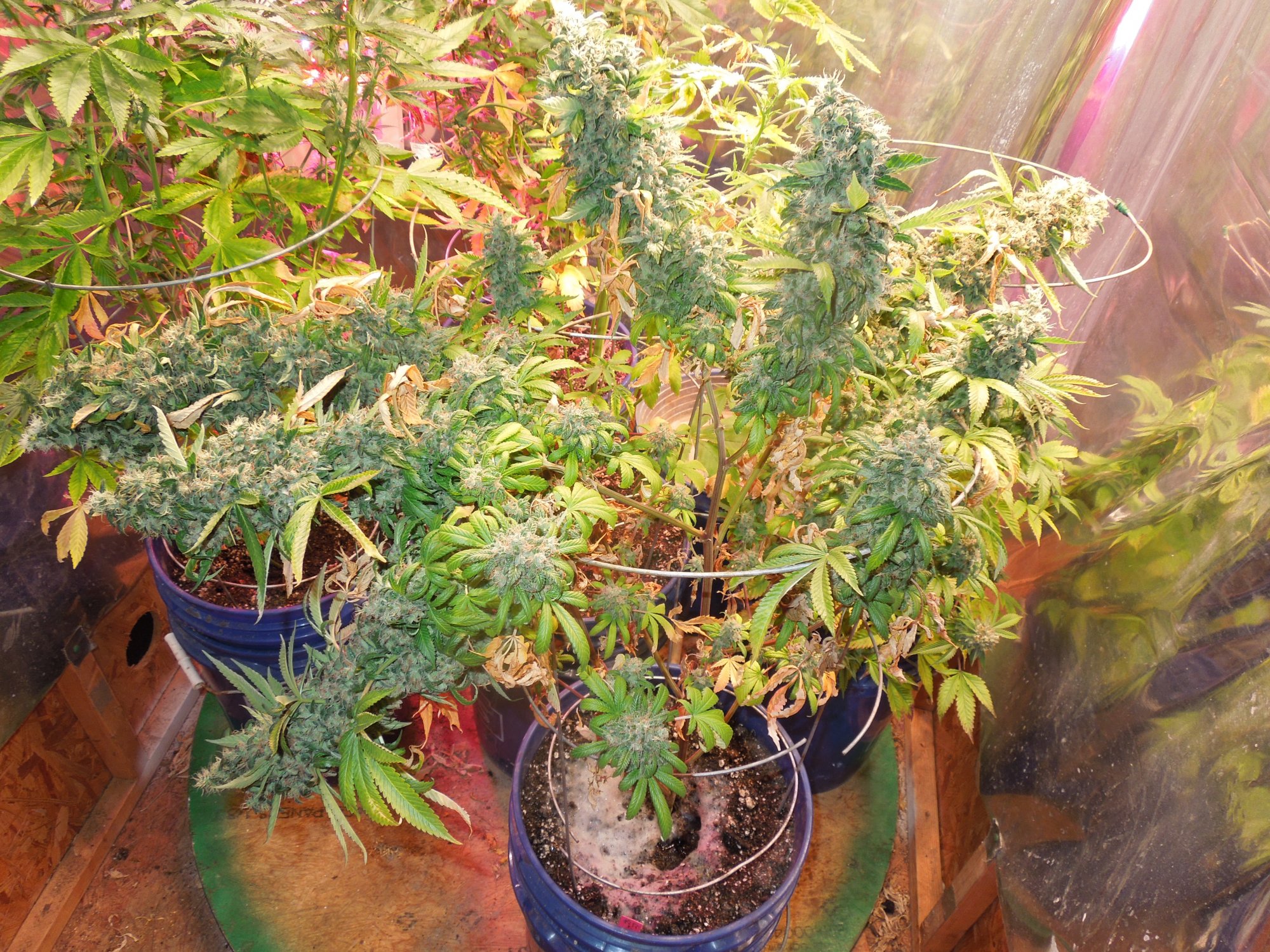 DSCN1400