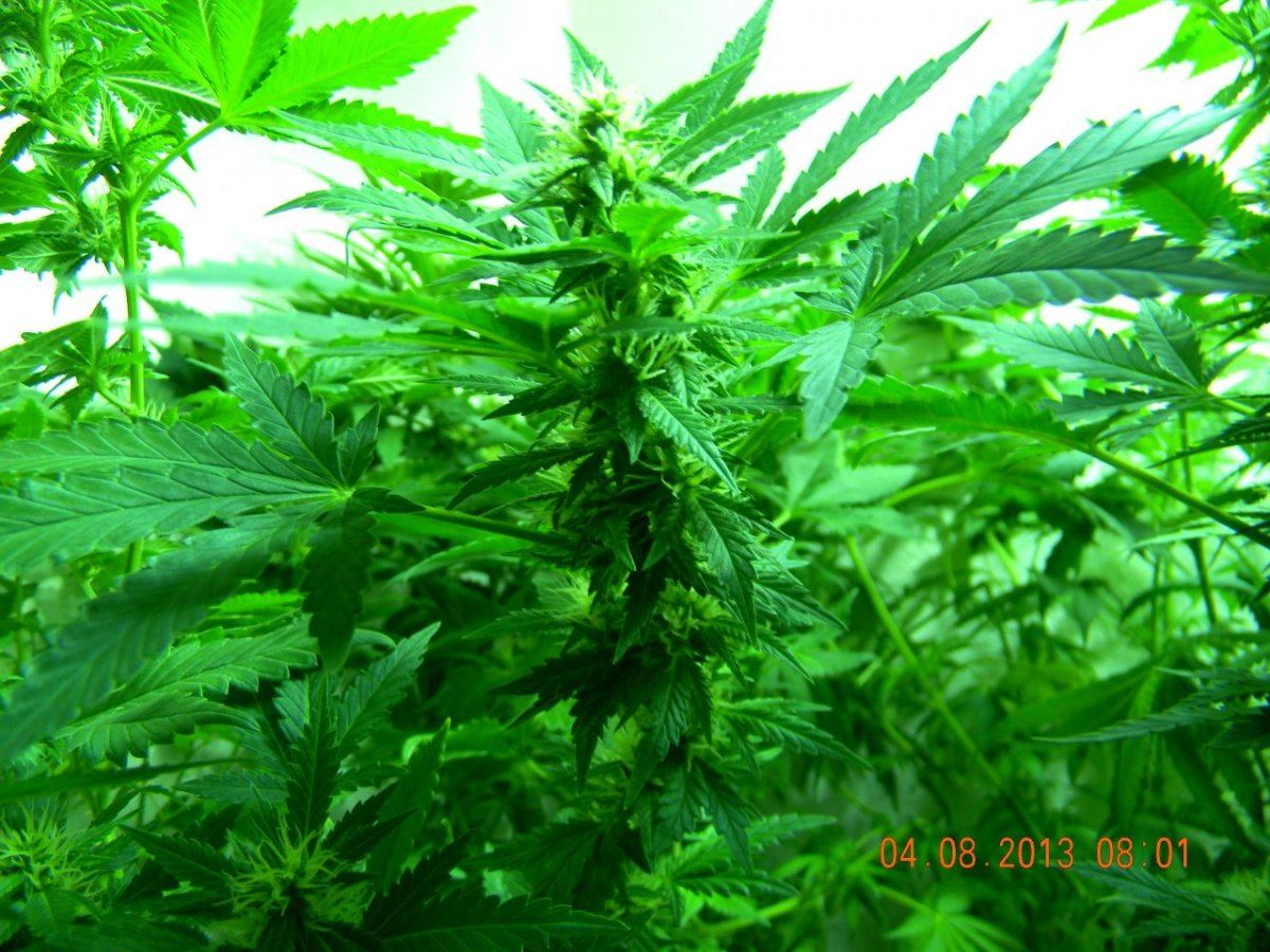 DSCN1402