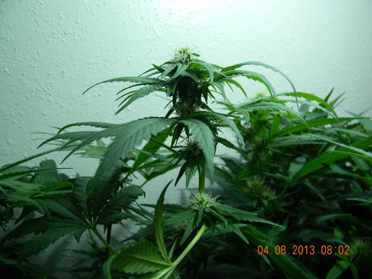 DSCN1405