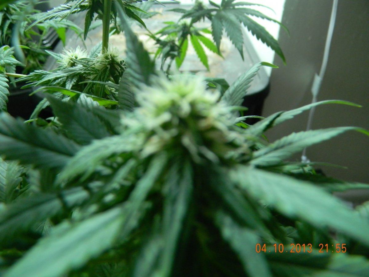 DSCN1422