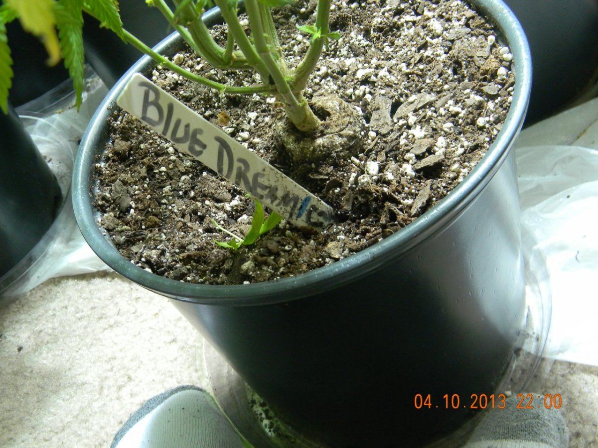 DSCN1428