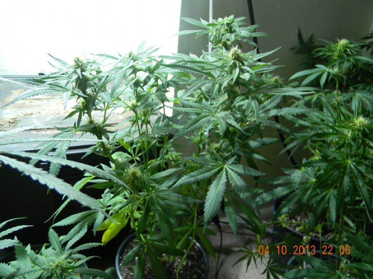 DSCN1439