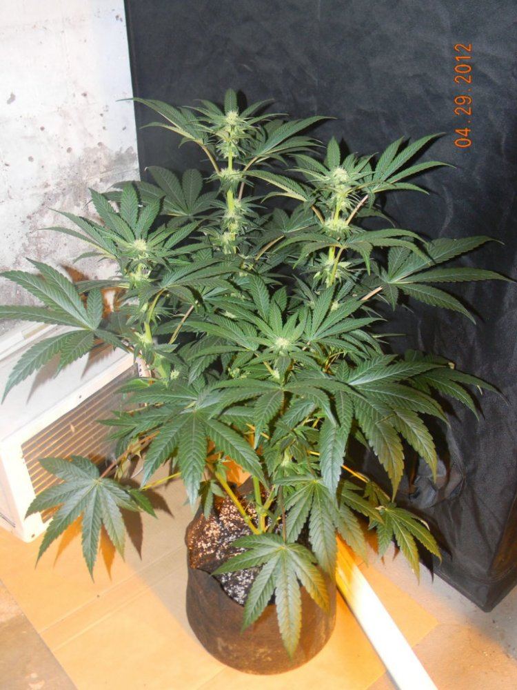DSCN1489