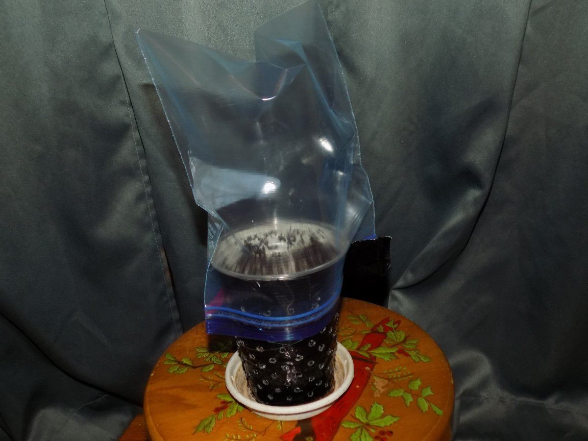 DSCN1752