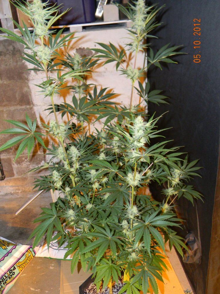 DSCN1760