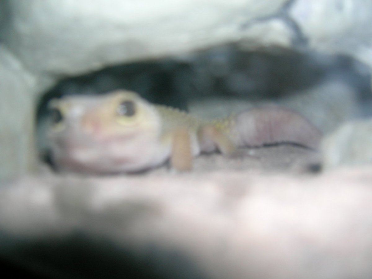 DSCN1818