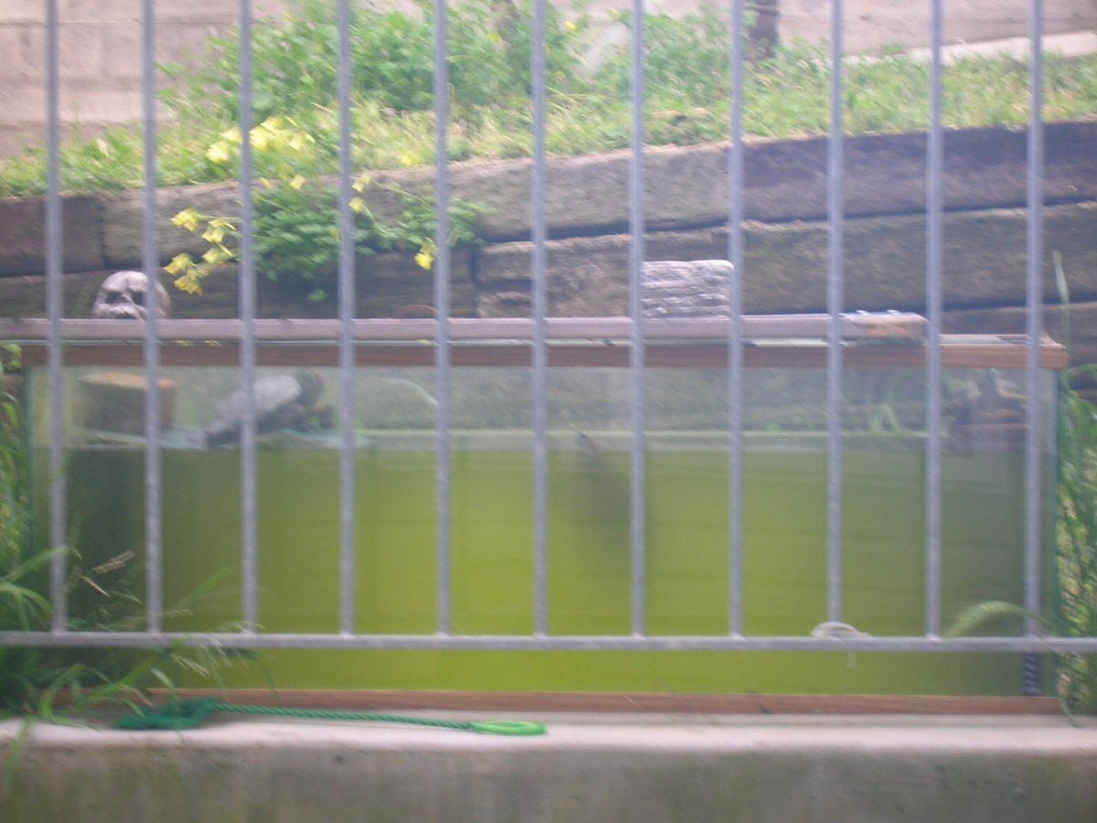 DSCN1856