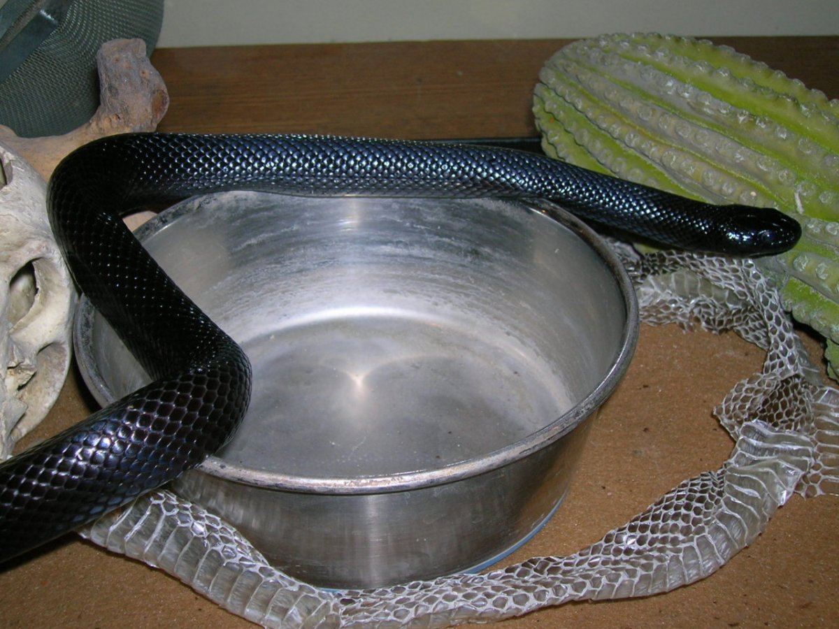 DSCN1946