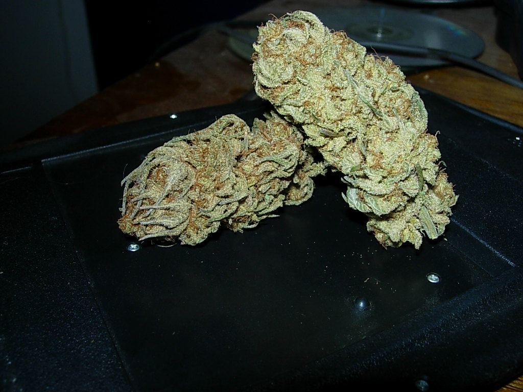 DSCN2111