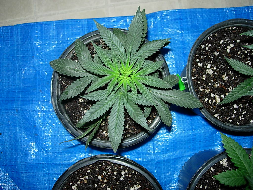 DSCN2193