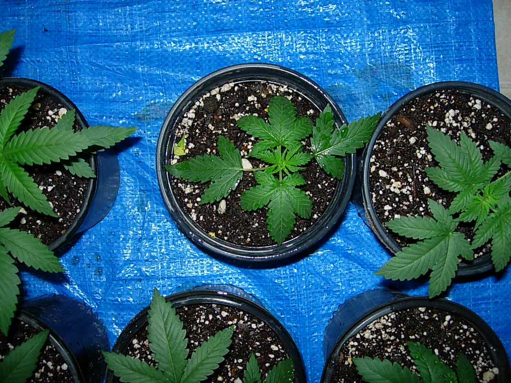 DSCN2205